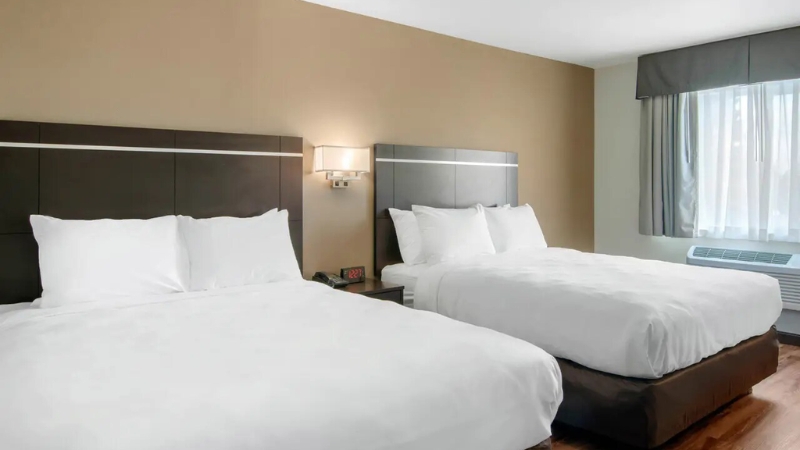 Double Bed Room