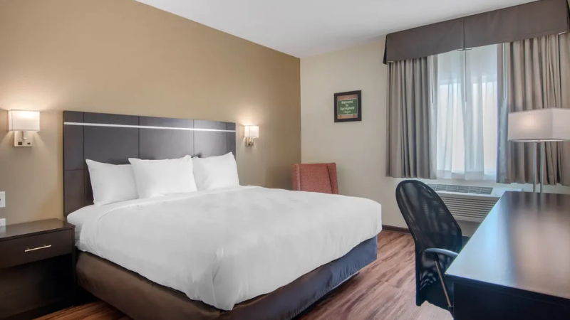 King Bed Room